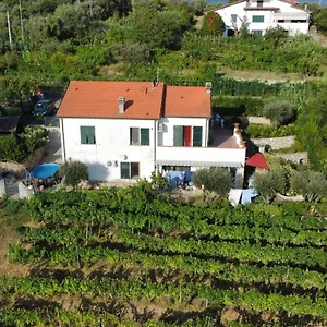 In Vino Veritas Bed & Breakfast
